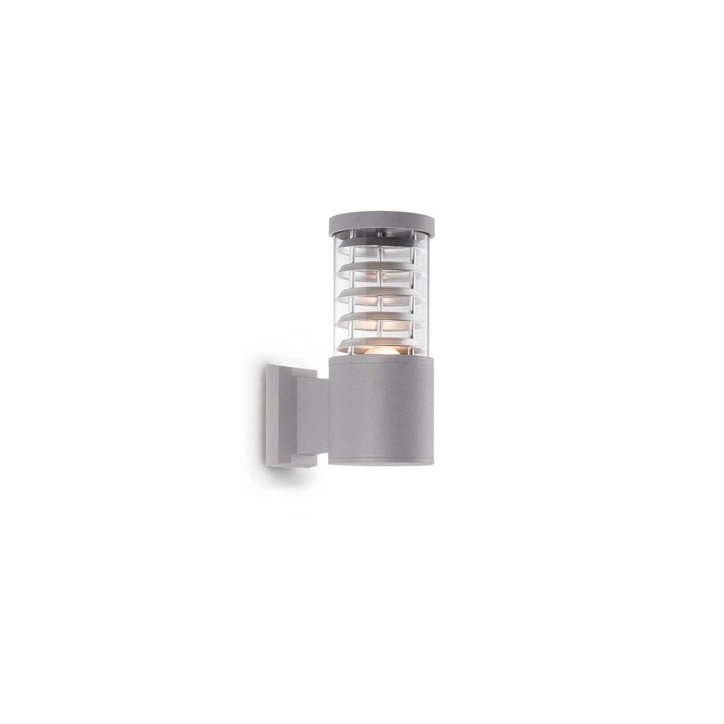 Tronco ap1