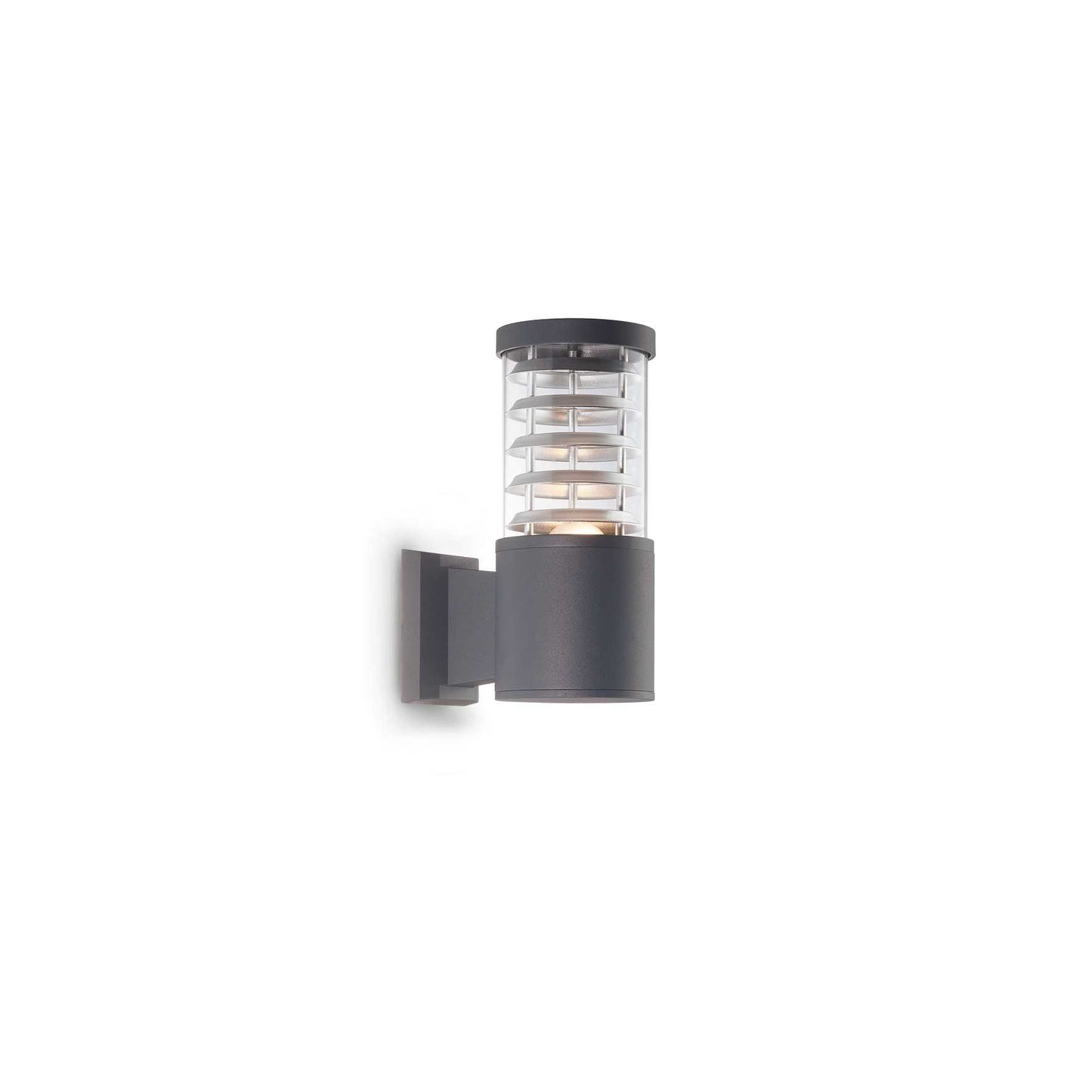 Tronco ap1
